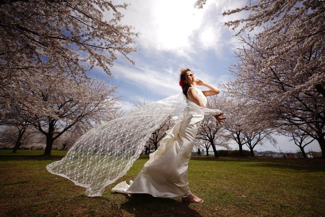 イルコ光の魔術師のインスタグラム：「毎日投稿続けまーす❗️今日も桜ポートレートアップ❗️たぶん毎年4月は一番写真多い月なんじゃないかな〜❗️Sigma 14mm f/1.8で撮影、フル開放です❗️右からストロボ1灯でライティングで、直で、NissinMG10使用❗️. . モデル: @sakura.0510 . . 新しい @ilkomobile アカウントにiPhoneで撮ってるポートレートもアップしますよ！いい光があればカメラ&レンズはなんでもいいと思います . . #ストロビスト #ポートレート #花見 #135mm #Sigma #instagramjapan #青森 #東京カメラ部 #ig_today #igersjp #tokyocameraclub #instalike #instagramhub #team_jp_ #vscogoodshot #strobist #strobistlighting #portrait_perfection #iphonephotography #イルコ #光の魔術師 #桜 #instagramhub #カメラ女子 #iphoneography  #lovers_nippon #ファインダー越しの私の世界 #写真 好きな人と繋がりたい #portrait」