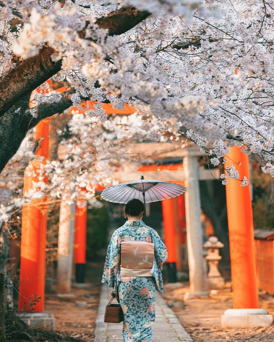 Berlin Tokyoさんのインスタグラム写真 - (Berlin TokyoInstagram)「Gentle afternoon light adds to the peaceful ambience of an approach to a shrine. . . . #hellofrom kyoto, #japan」4月17日 22時14分 - tokio_kid