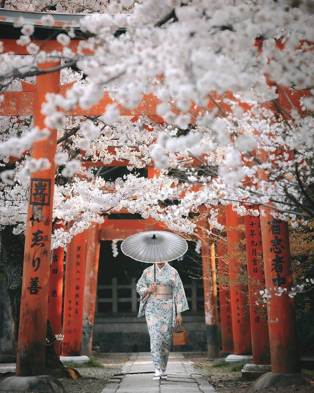 Berlin Tokyoのインスタグラム：「Gentle afternoon light adds to the peaceful ambience of an approach to a shrine. . . . #hellofrom kyoto, #japan」