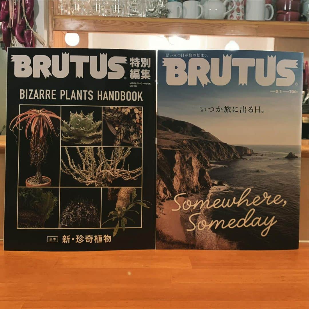西田善太さんのインスタグラム写真 - (西田善太Instagram)「今できる2つのことを。旅を想う、植物と語る。2冊の本に仕立てました。 #BRUTUS #いつか旅に出る日 #合本ムック珍奇植物」4月17日 22時32分 - zentanishida