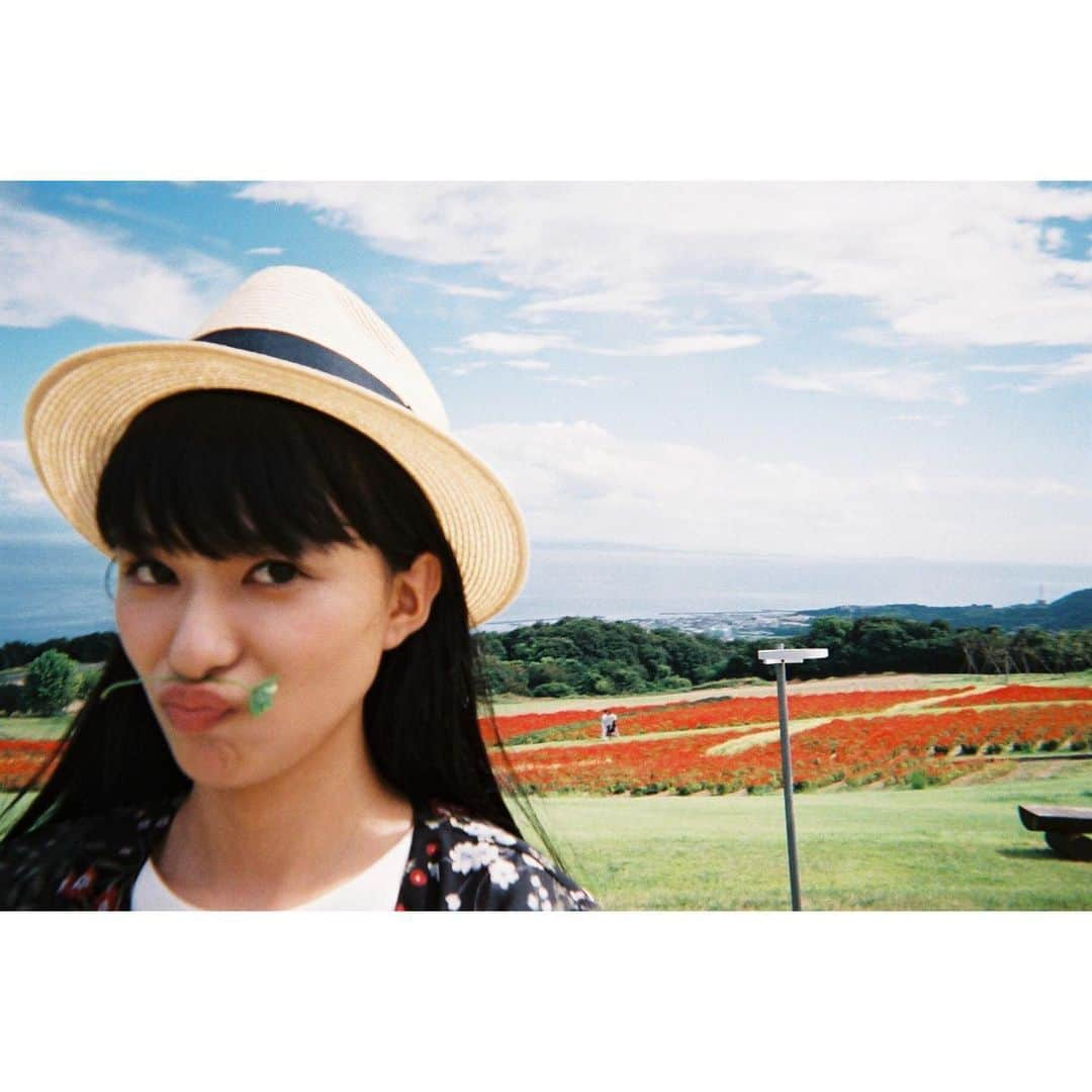 芳根京子さんのインスタグラム写真 - (芳根京子Instagram)「😁😙☀️🍀 #film #ネコソガレ」4月17日 22時50分 - yoshinekyoko