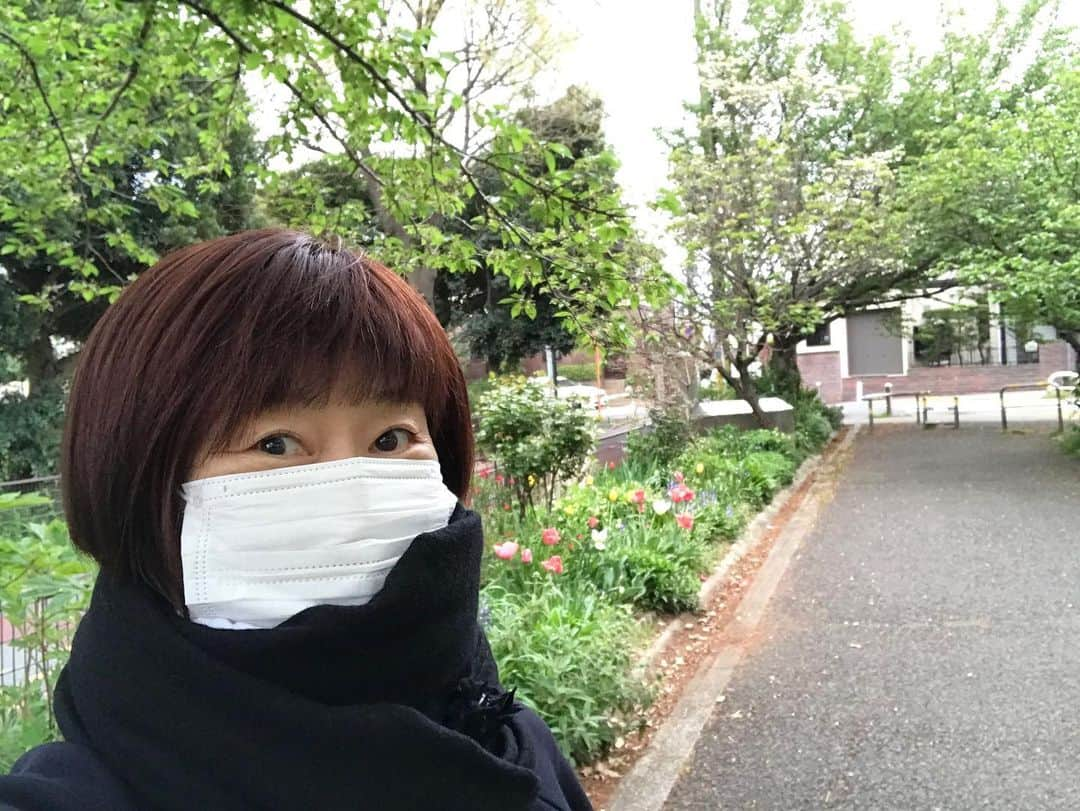 神野美伽さんのインスタグラム写真 - (神野美伽Instagram)「今日も、午前中に家の中でエアロバイクをこいで、しっかりストレッチを済ませ、 小倉君と今後の仕事のプランをいろいろ話し合いました 今みたいに時間のある時に、いろいろ準備をすることが大事だと思っています 悲観してばかりいても、何も始まらないから... ね  夕方、 ものすごく久しぶりにハナコと公園まで散歩して帰って来ました やはり、家の中で自転車をこいでいるのとは気分が全く違います ほんの少しの時間でしたが、気分転換になりました  そうそう❗️ これから少しずつ、動画で歌をアップしていこうかと考えてます  #エアロバイク#ストレッチ#散歩#動画#歌」4月17日 22時55分 - mika_shinno_japan