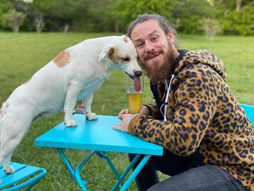 デビッド・フィンレーのインスタグラム：「🍺 🐶 • #stayhome #stayhealthy #drinkingbuddies #happyhour #njpw #njpwworld #newjapanprowrestling #新日本プロレス #finjuice #davidfinlay  #デビッドフィンレー #prowrestling #wrestling #iwgp #professionalwrestling  #lockdown #lockdown2020 #dog #dogsofinstagram」