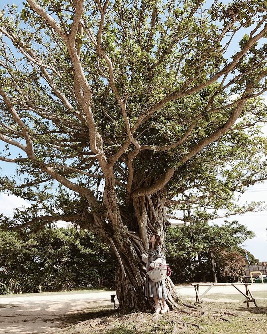 白井ゆかりのグルメインスタ