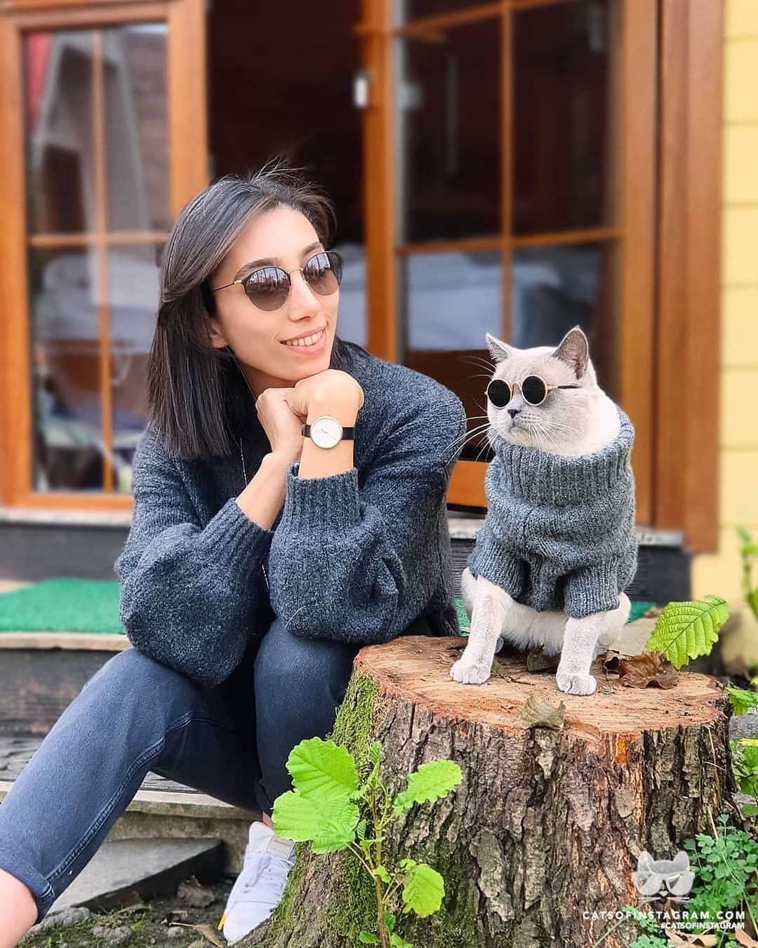 Cats of Instagramさんのインスタグラム写真 - (Cats of InstagramInstagram)「From @pamirthecat: “Couple goals 💞” #catsofinstagram」4月18日 1時13分 - cats_of_instagram