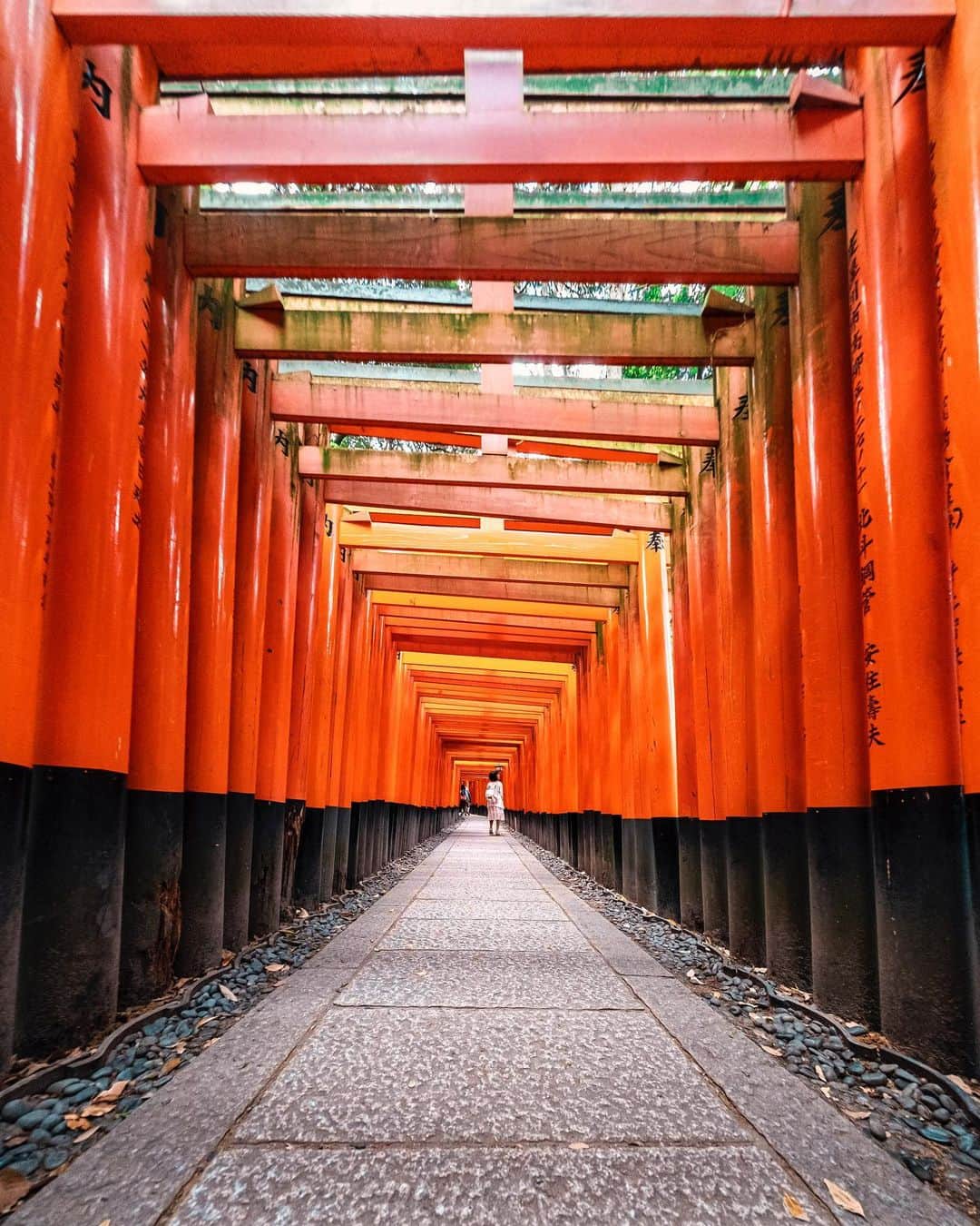 Nicanor Garcíaのインスタグラム：「Infinite good luck : Buena suerte infinita #nicanorgarcia @travelarchitectures」