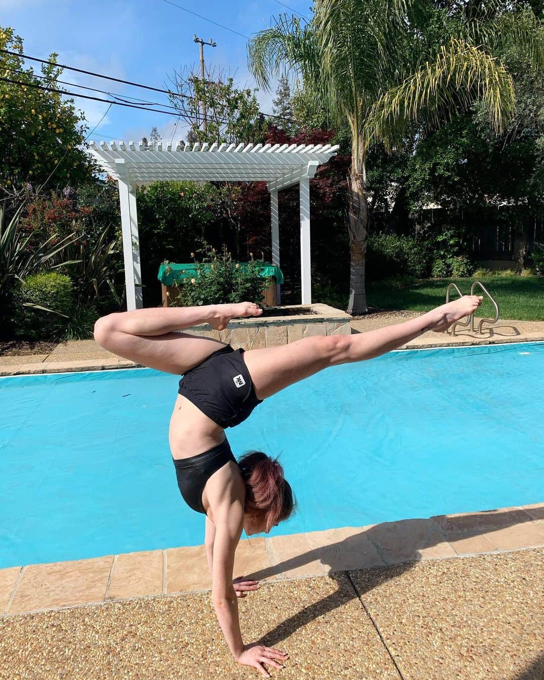 Elliana Shayna Pogrebinskyのインスタグラム
