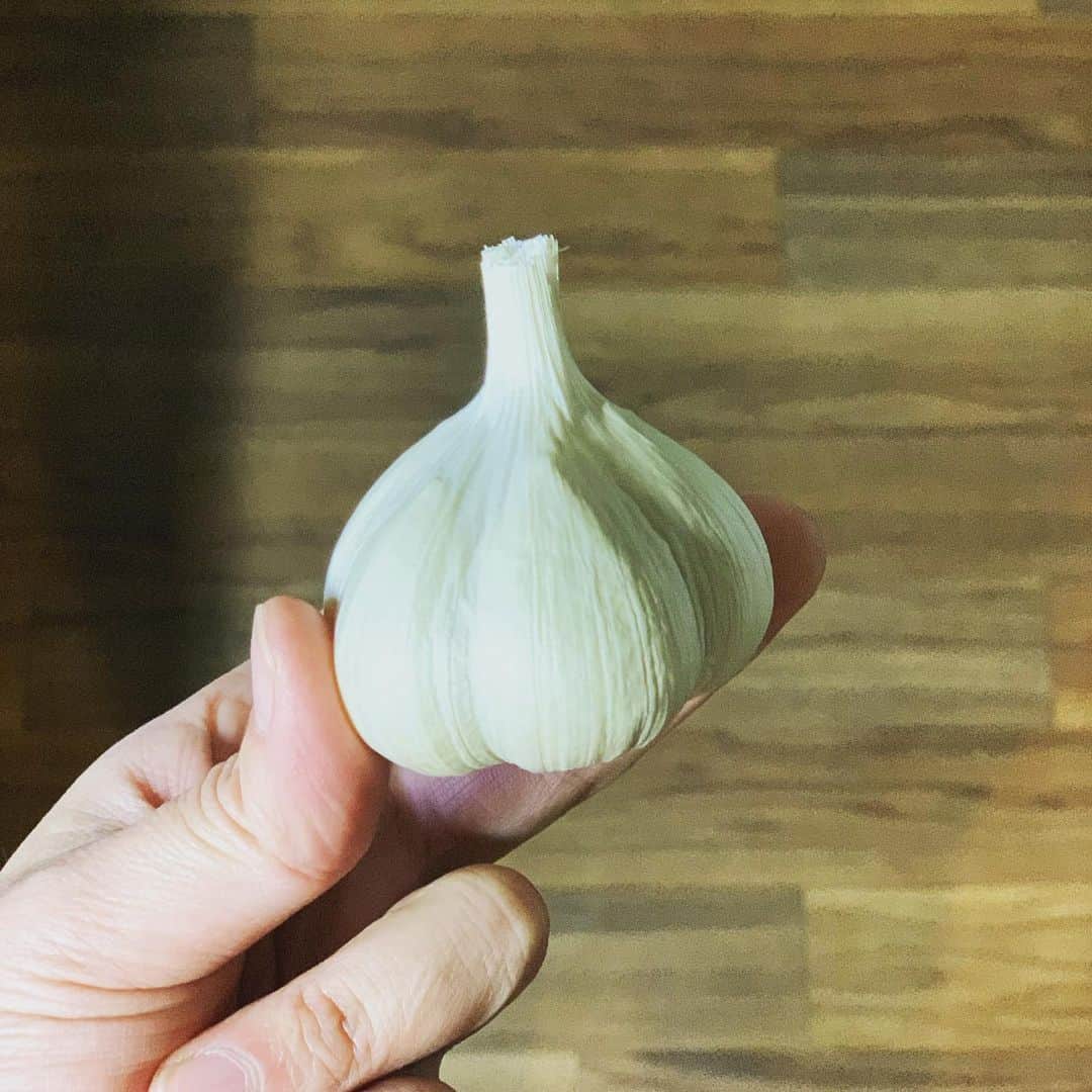 鈴木渉のインスタグラム
