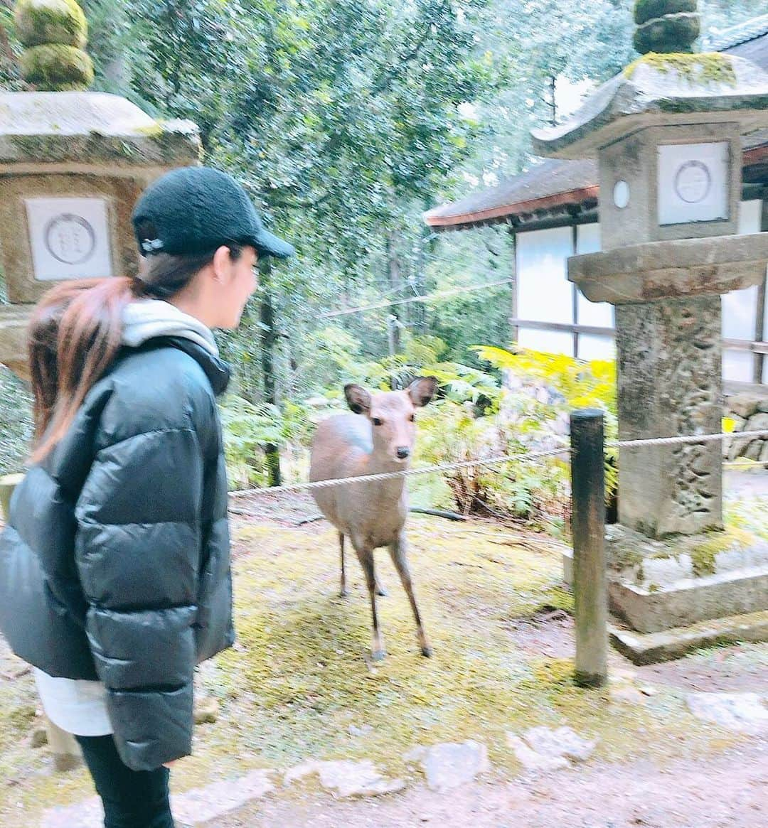 浦田麻緖さんのインスタグラム写真 - (浦田麻緖Instagram)「私の地元の奈良🦌 コロナの影響もあり、takeoutができる飲食店が増えているみたいですっ❣️ 🍱🍔🥨🥟🍛🍕🥗🧁🍝 @nara.takeout  でtakeoutができる飲食店がいーっぱい紹介されているので、奈良の皆様ーーー📣是非Instagram検索してみてね🦌💕 @nara.takeout を見ていると、、、 お腹が空いてきます🤤🍽 あぁ、、、食べたい🤭❤️w  写真は、年末に　#春日大社 に行った時に🦌さんと喋った時の写真🤳w  #奈良　#narajapan  #narapark  #takeout #飲食店　#食べる #免疫力　#コロナに負けるな #奈良出身　#地元　#食べて応援　#今こそ助け合い」4月18日 12時23分 - mao.urata