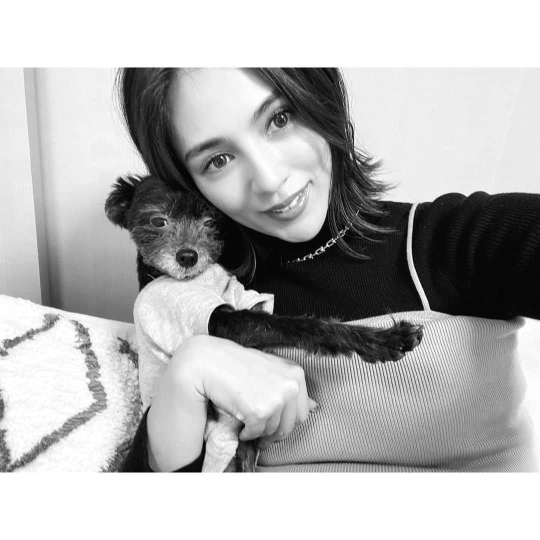 渡辺知夏子さんのインスタグラム写真 - (渡辺知夏子Instagram)「この後、14時からインスタLIVEやります！！ 🐶💜 #インスタLIVE #ちゃんとやるの初めて　#緊張する　#メッセージよろしくね #頑張ります　#保存しとくね」4月18日 13時40分 - chikako_724