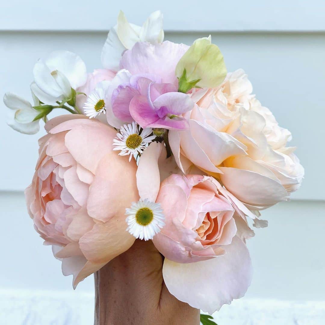 ローレン・コンラッドのインスタグラム：「Give me all the garden roses!」