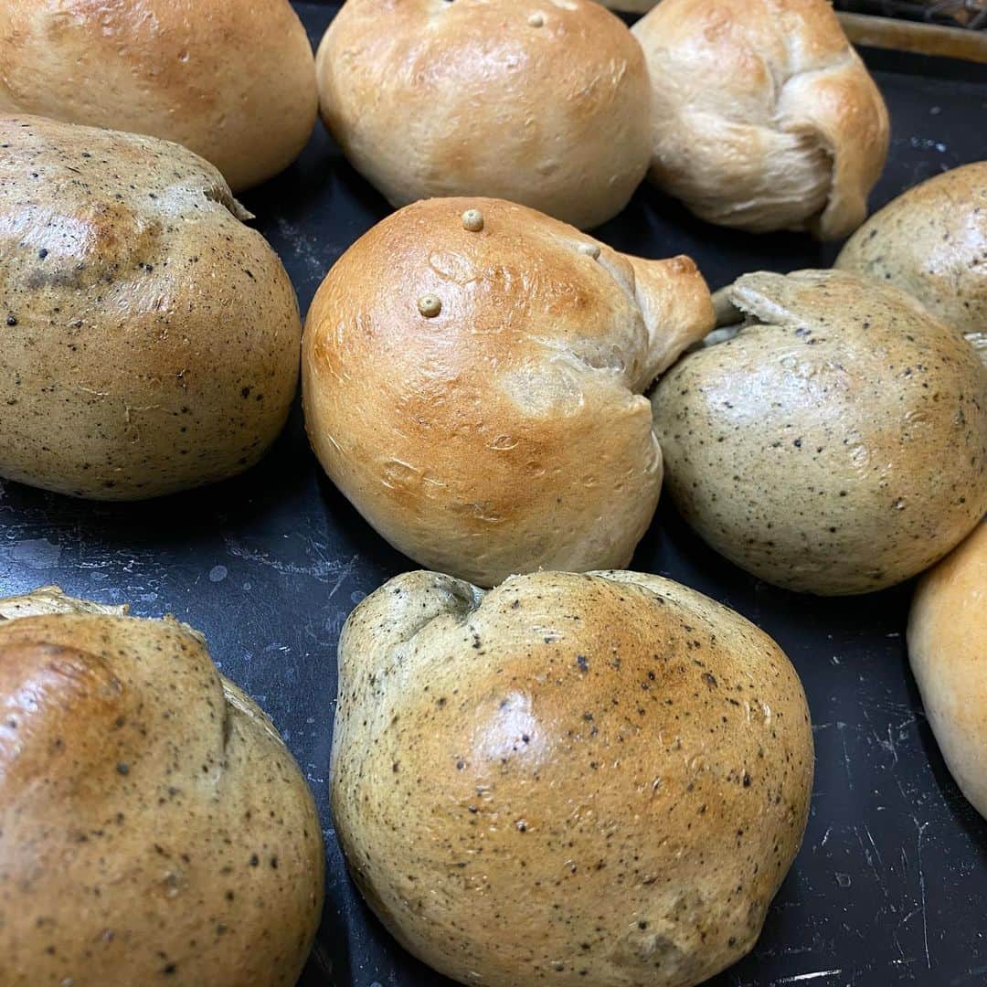 魔女菅原のグルメインスタ