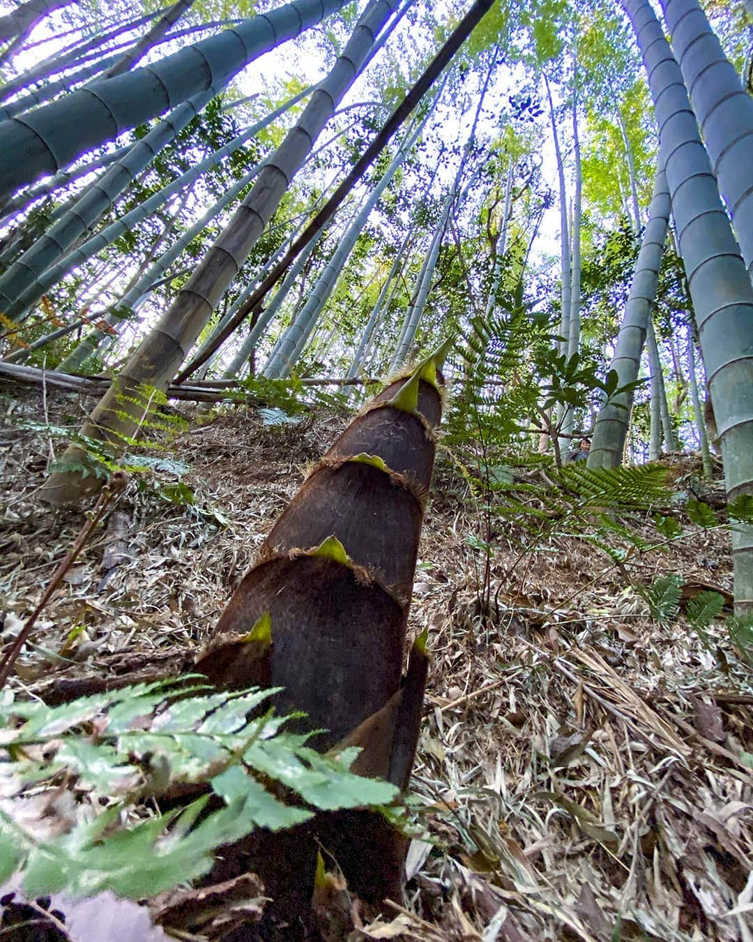 愛知県田原市のインスタグラム