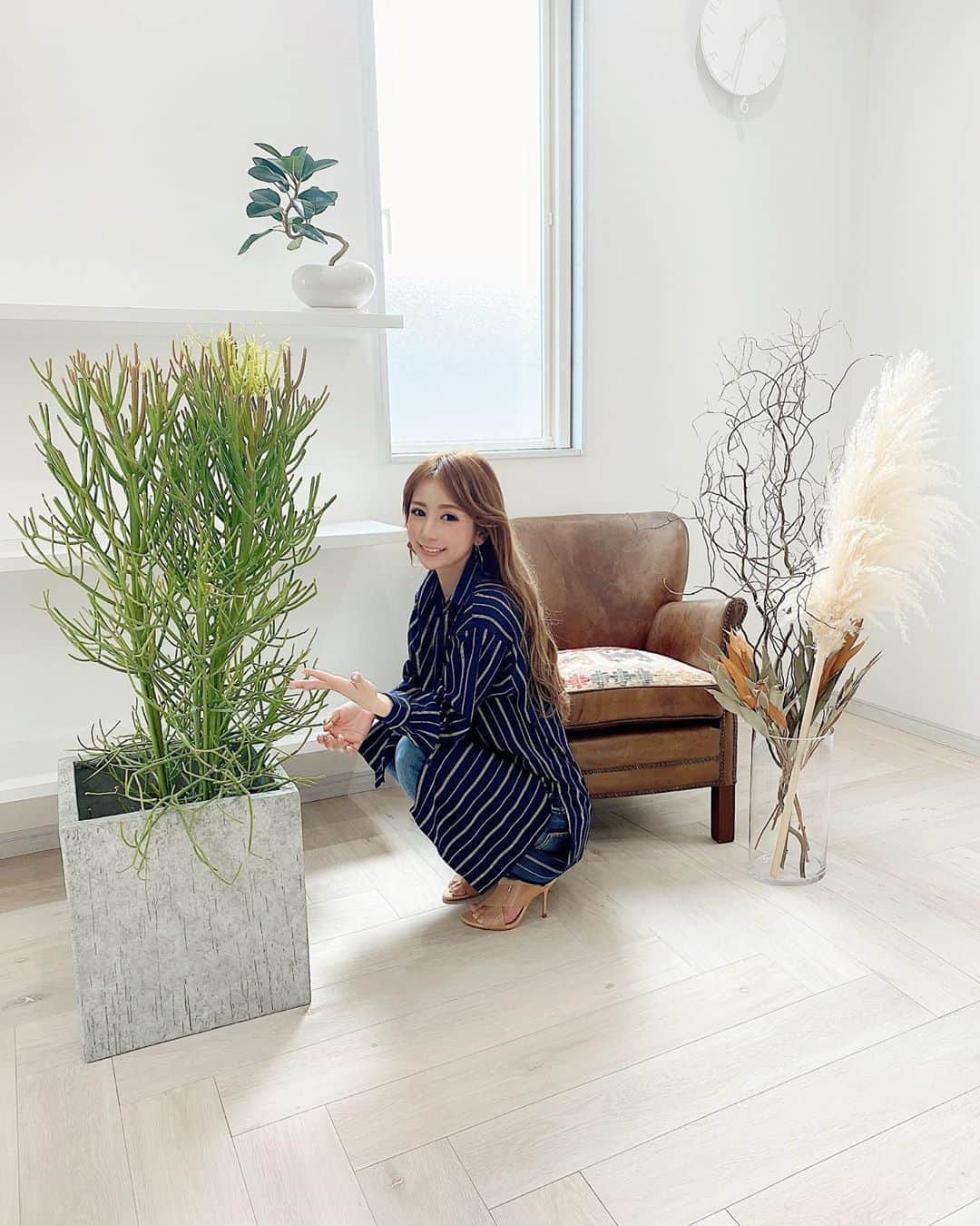 のインスタグラム：「🌿🍃🕊🥛 ・ オーダーしていた植物 色々が 先日 届きました☺︎ ・ サンゴみたいなミルクブッシュ🌵 ・ 2枚目は ビーンズみたいな鉢に入った フランスゴムの木🥜　可愛い♡」