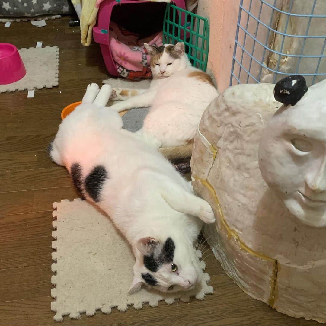 Kachimo Yoshimatsuのグルメインスタ