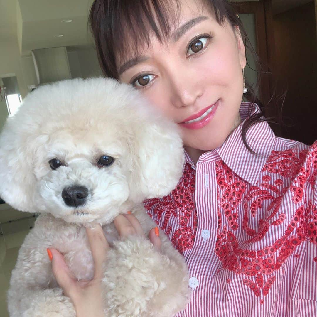 加藤綾菜さんのインスタグラム写真 - (加藤綾菜Instagram)「介護実務者の教科書届いて課題をコツコツやってます❣️ あと、お仕事のコラムを書いてます✨ 発売になったら是非読んでもらいたいな✨ ３枚目は家で出来る事ないかな〜って習字を始めました😌 鈴木奈々ちゃんと毎日電話してるから無意識に鈴木と書いてました。 イザワオフィスが✨志村けんだいじょうぶだぁ✨の動画をYouTubeにアップしました❗️ 志村さんのコントをみて沢山笑いました。 皆さんにも是非みて欲しいです！ おやすみなさい😴」4月18日 21時48分 - katoayana0412