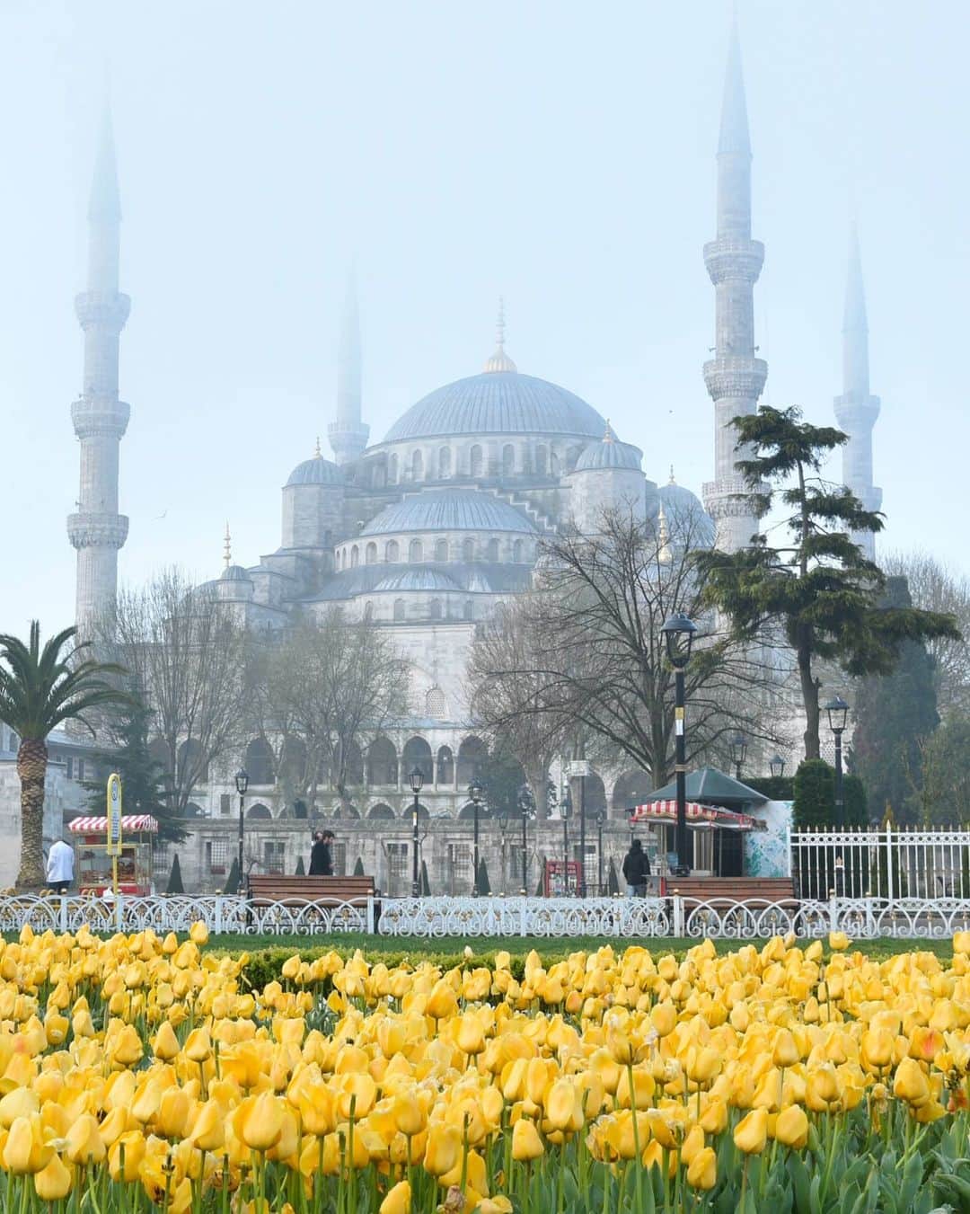 masayaさんのインスタグラム写真 - (masayaInstagram)「2 years ago early morning Sultanahmet  Istanbul Tulip Festival 2018 チューリップフェスティバル 早朝のブルーモスク イスタンブール」4月18日 21時52分 - moonlightice