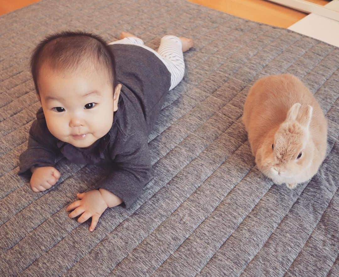 DJ YURiAさんのインスタグラム写真 - (DJ YURiAInstagram)「🎂🎂🎂﻿ ﻿ ﻿ Happy 1st Birthday to my little princess❤️﻿ ﻿ ﻿ 娘が1歳になりました👶🏻﻿ ﻿ 家族揃ってこの日を迎えられたことにただ感謝しかありません。﻿ ﻿ ﻿ ママになって1年。﻿ 私をママにしてくれてありがとう。﻿ ﻿ ﻿ 色んな人に感謝が溢れる1日でした☺️﻿ ﻿ ここだと長くなるのでブログに書きました👩🏻‍💻﻿ ﻿ ﻿ ﻿ 子育ては楽しいです🤱🏻﻿ ﻿ 今、不安な妊婦さんや子育てママさん多いと思いますが、守れるのはママしかいないので、共に頑張りましょうね💪🏻💪🏻💪🏻﻿ ﻿ ﻿ ﻿ ﻿ #1stbirthday  #happybirthday #loveyou #お誕生日おめでとう #母と娘  #赤ちゃんのいる生活」4月18日 22時19分 - djyuria