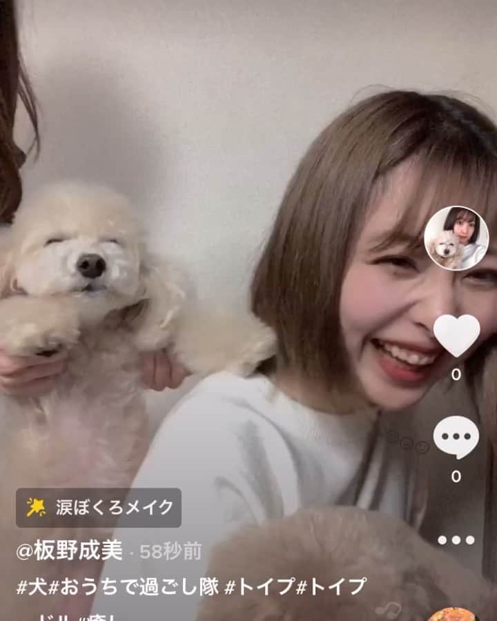 板野成美のインスタグラム：「TikTok🎵」