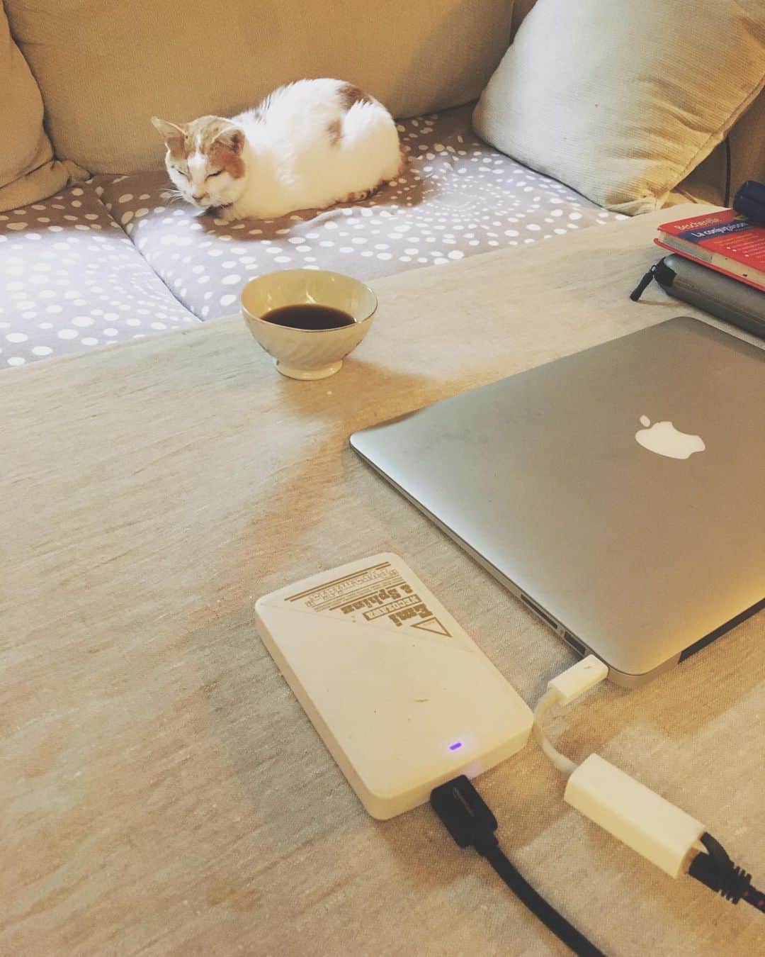 猫沢エミのグルメインスタ