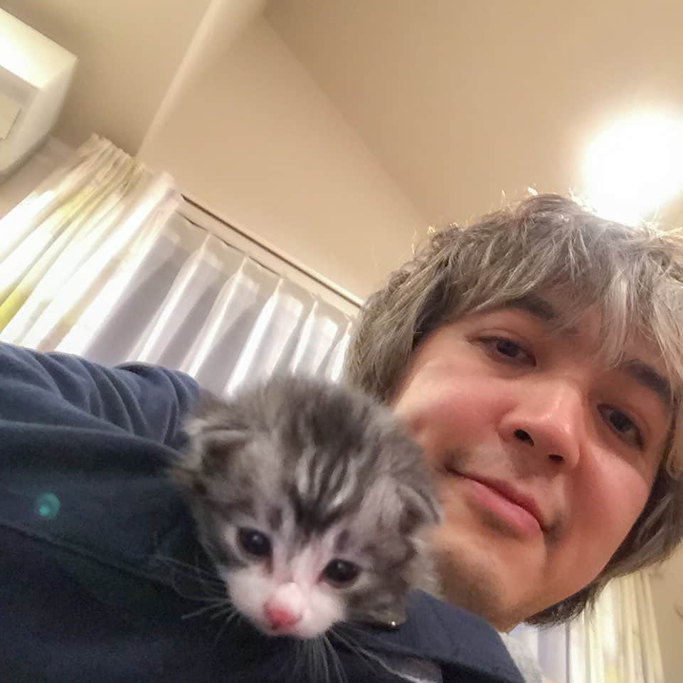 近藤研二さんのインスタグラム写真 - (近藤研二Instagram)「モイ、うちの子記念日。5年前の今日、山梨のOさん宅から我が家に迎えました。あの時がモイと最初のドライブだったんだなあ。小さかったなあ。6枚目は最初のふみふみかな。パパとママを見つけてくれてありがとう。  #こねこのモイ #kitten #近藤モイ #モイチン #モイ201504 #モイ生後0ヶ月 #graytabbyandwhite #サバシロ #長毛種 #猫 #ねこ #ネコ #neko #cat #cats #kissa #gato #gatto #meow」4月18日 13時50分 - kenjikond0