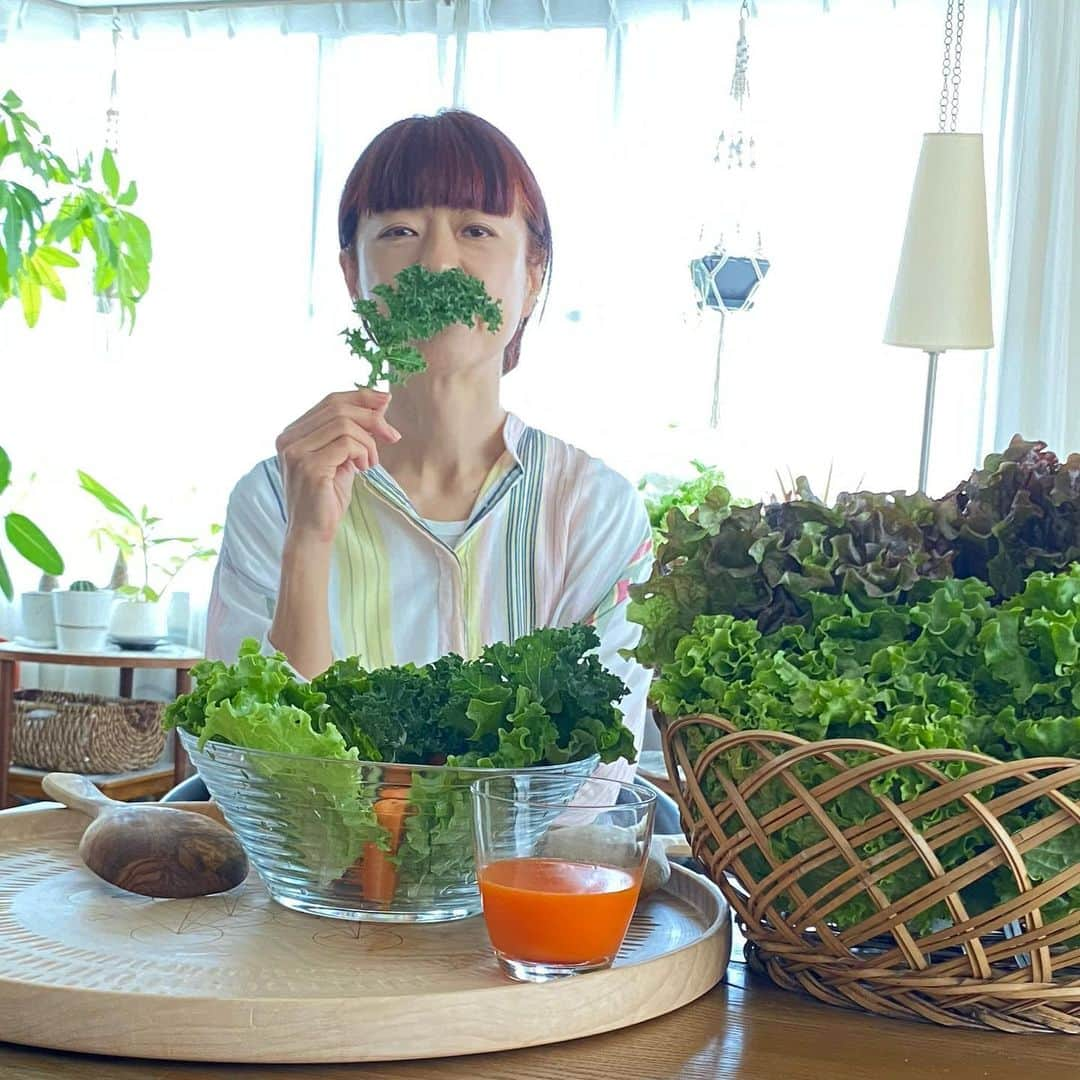 MICHIRUさんのインスタグラム写真 - (MICHIRUInstagram)「@emeraldpractices TAOちゃんからパスもらったべジるチャレンジ🥕🥬﻿ ﻿ もうかれこれお肉を辞めて１０年以上経ちますが、肉を食べることが環境問題とどう繋がっているのかを知らなくて、。気候変動へのインパクトをグッと減らせるなんてビックリ👀﻿ ということで [#Dear地球好きの君へ 1Dayベジるチャレンジ] このアクションに参加させていただきました！﻿ 完全にお肉を断ち切れなくても、週に一回だけでもみんなが少しずつやれば大きな変化になります😊﻿ ﻿ 地球が好きなあなたなら誰でも参加自由！！週に一回 #ベジる でカラダも地球もヘルシーに🌎﻿ ﻿ ↓↓↓↓↓↓↓↓﻿ ﻿ #dear地球好きの君へ  @chiharusugiura @miyu_hayashida @skyhighjuice へ、1Dayベジるチャレンジ 招待状をお送りします。#ベジる ことでアクションを一緒に盛り上げよう！﻿ ﻿ 現在、猛威を奮っているコロナウイルスは人類にとってとても緊急性の高い問題である一方、気候変動も長期的に見た時に非常に緊急性の高い問題です。﻿ こんな時にこそ、みんなで気軽に取り組めるハッピーなチャレンジに参加しよう！﻿ ﻿ 実は…﻿ お肉を食べるのを減らすことで、気候変動へのインパクトをグッと減らせることを知ってた?﻿ 週に1日 #ベジる だけで1年間で、﻿ ・CO2を110キロもカットできる！﻿ ・約133㎡の森林を守れる！﻿ ・107人分の飲料水を節約できる！﻿ ・約60匹の動物の命を守れる！﻿ ﻿ 北極・南極での気温上昇、アマゾンやオーストラリアの森林火災、畜産由来の感染症の発生…﻿ お肉を食べる量を週に一度減らすだけでも、これらの問題解決へのアクションにつながります！1日ベジの食事にトライしてみよう！（月曜日じゃなくても大丈夫👌）﻿ ﻿ 簡単3つのステップで参加：﻿ 1. １日ベジにトライ！ベジ料理を作って食べてみよう！﻿ 2. 食べた料理の写真を撮り、ハッシュタグ #ベジる #Dear地球好きな君へ　#1Dayベジるチャレンジ #PlantFoward を忘れずに、SNS（facebook / instagram）で投稿準備！﻿ 3. 地球好きな3人の友達をタグ付け、このメッセージをコピーして、このチャレンジリレーに参加するよう招待してください！﻿ #GreenMonday #ベジる #PlantFoward #EarthDay2020 #アースデイ50周年﻿ #emeraldpractices﻿」4月18日 14時40分 - barbiemichiru