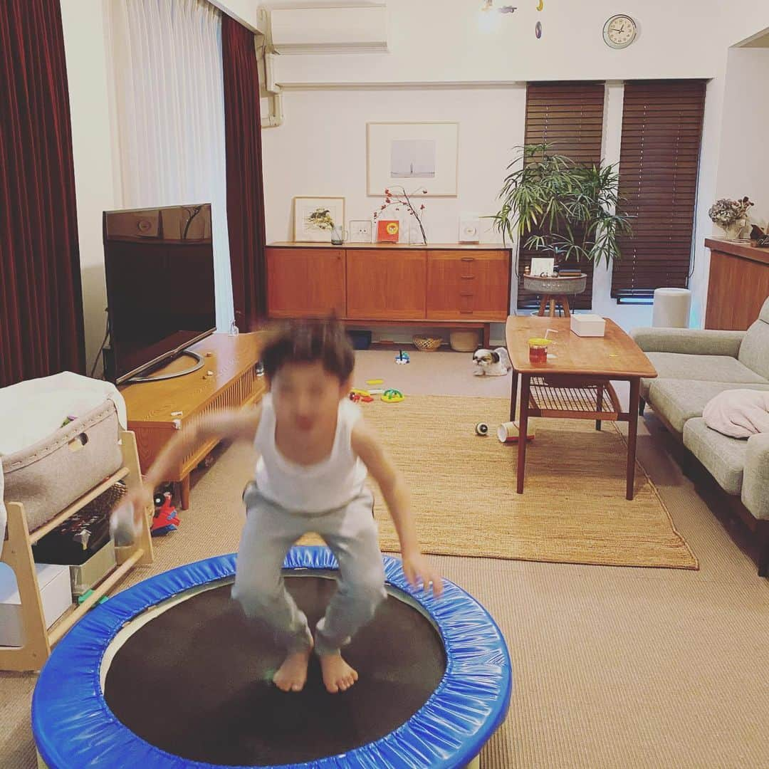 浜島直子さんのインスタグラム写真 - (浜島直子Instagram)「雨の土曜日。  暴れ肉団子は自由自在にゲップをしながらトランポリンを。  ピピ取締執行役員は七面鳥のアキレスの商品点検を。  そして私と旦那は、真樹さん( @makiohara )が送ってくれた、NATIVOのフォンダンカカオを。  それぞれの口福を堪能する午後✨ ・ #なんじゃこりゃ！ #美味しいーーー😭✨ #口いっぱいに広がる濃厚なカカオが #まさに口福 #離れてても繋がってる  #ありがとう🥰 #nativo  #fondantcacao  #フォンダンカカオ #ちなみに #暴れ肉団子　には #これはオトナの苦いやつだからと言って #チョコパイをあげた #ケチな直子43歳の春🙈 #ピピちゃん #シーズー #元保護犬」4月18日 15時56分 - hamaji_0912