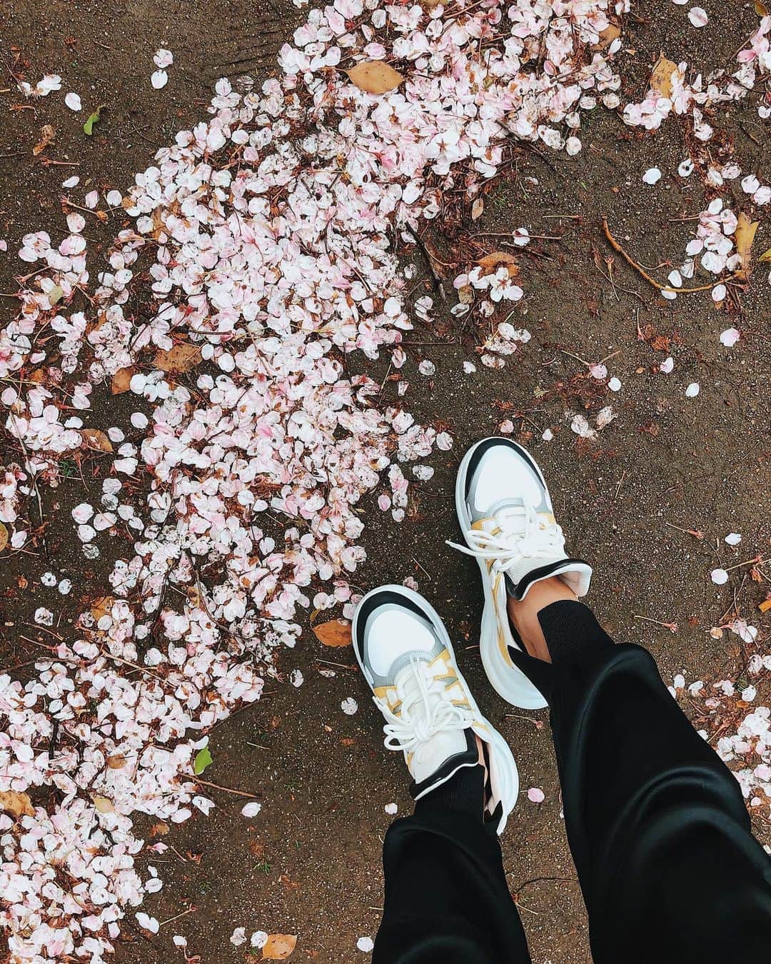 谷口紗耶香さんのインスタグラム写真 - (谷口紗耶香Instagram)「#cherryblossom 🌸 今年の桜は少し長く感じたな✨ ・ ここ何年かは桜が開花してから風の強い日が続いて、気づいたら葉桜になってる印象だったけど。 ・ 来年は思いっきり桜の下で 遊びたいね✨  #instamodel#instaootd#ootd#model#japanesemodel#sayakataniguchi#shooting#kawaii#girl#mama#instafashion#japanese#today#cute#拍照#可爱#今天的衣服#谷口紗耶香#时尚#패션#귀엽다#일본인#촬영#親バカ部#ママリ#ママコーデ#子育て日記#子育て#公園コーデ」4月18日 16時58分 - saayaamam
