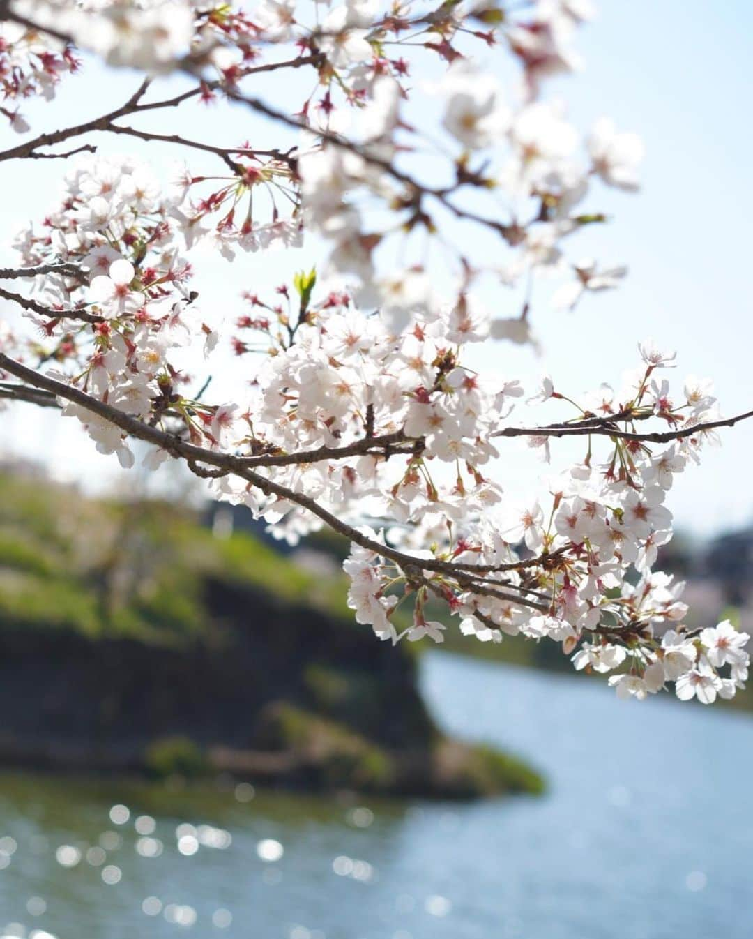 天使もえさんのインスタグラム写真 - (天使もえInstagram)「ㅤㅤ 明日は晴れるといいなぁ。 ㅤ ㅤㅤ」4月18日 17時11分 - amatsuka.moe