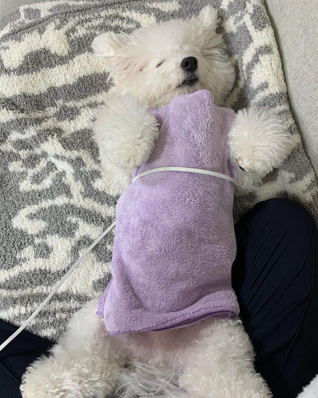 関根理紗のインスタグラム