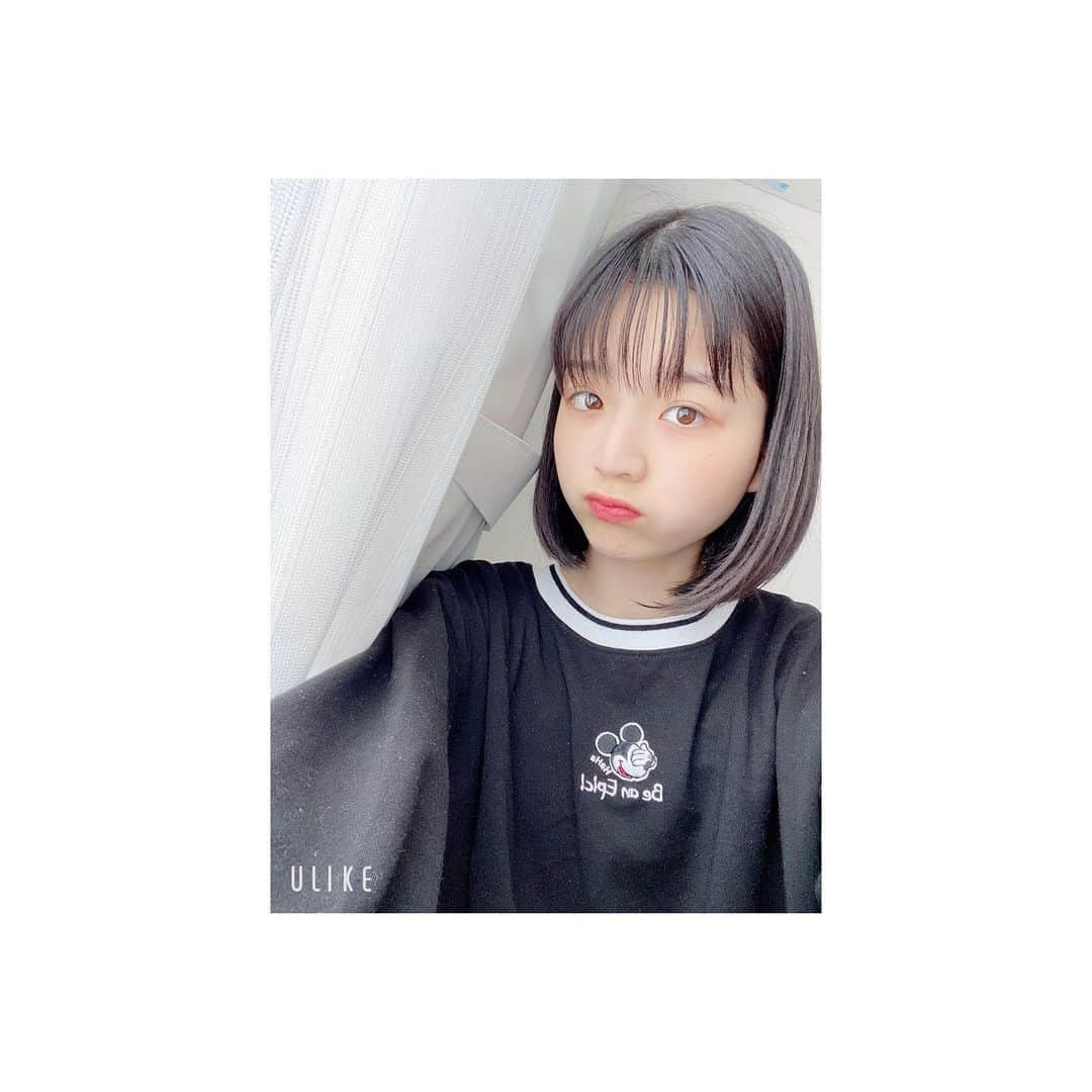 小林咲葵のインスタグラム：「🌻﻿ お久しぶりですいません…😅﻿ ﻿ 最近は勉強頑張ってみたりしてます笑﻿ 課題が多いです👑﻿ ﻿ ﻿ #小林咲葵﻿ #勉強﻿ #課題﻿ #頑張るぞ」