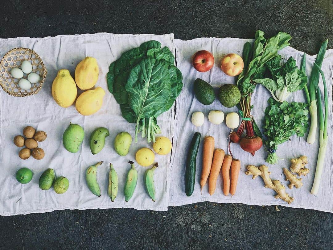 吉川ひなのさんのインスタグラム写真 - (吉川ひなのInstagram)「きゃほー❤︎ 今日は食料調達の日🥬🍌🥦🍎🥑🥕🍊🍐🍅🍋🥭 大好きなファームのオーガニックベジタブルとフルーツ♥️ 野菜は全部最初に洗って2枚目のようにオーガニックコットンの巾着に入れてから冷蔵庫にしまっています❤︎ 左上の🥚は自宅のお庭で生んでくれた新鮮たまご  野菜を洗って並べて眺めるの、好きな時間☺️ フルーツや野菜は大きなカゴで持ち帰って、保管するときも出来る限りビニール袋を使わない 小さなことからコツコツと😊  #HinanoSustainableLife」4月18日 17時28分 - hinanoyoshikawa