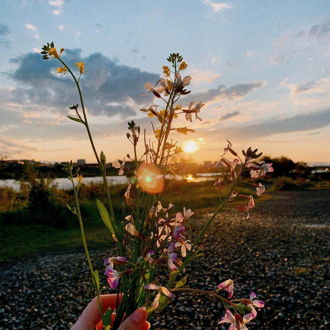 黒谷磨世さんのインスタグラム写真 - (黒谷磨世Instagram)「📷💐」4月18日 18時27分 - kurotani_mayo_official