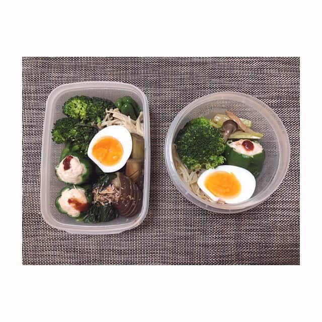 みのり(26)＠東京 ダイエットのインスタグラム：「🎀 #夜勤 🍴#今日のお弁当 . ピーマンの肉詰め ゆでたまご ブロッコリー ナスの煮浸し ほうれん草のお浸し . 右のは朝分( ‾ω‾ )👍 . . 夜勤はリセットごはん✨ . もー、働くパワーをオラにくれー（´・ω・`） . . . ◉ライザップ公認の紹介アンバサダーです。 〜紹介特典で、5万円分お安く入会できます〜 . . ▶︎全国どの店舗でもOK ▷２週間のトライアルコースもあります(^_^)/ ▶︎カウンセリング予約前にご連絡ください . ◎入会やカウンセリングをお考えの方、 ご質問なども、DM✉️ください。 . ★トレーニング見学もできます★ . 📺RIZAP TVCM出演 🏅RIZAP BMG ファイナリスト2017.2018 . #rizap #ライザップ . #ダイエット #diet #ダイエット日記  #instadiet #ダイエット仲間募集 #ダイエッター #公開ダイエット #食べて痩せる #糖質制限 #お弁当 #弁当 #ダイエット弁当  #自分弁当 #糖質オフ #晩御飯 #dinner #夜ご飯 #夕食 #夜ごはん  #低糖質 #糖質制限 #夜勤弁当 #看護師」