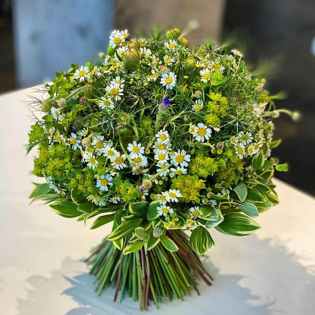 ニコライ・バーグマン・フラワーズ＆デザインさんのインスタグラム写真 - (ニコライ・バーグマン・フラワーズ＆デザインInstagram)「Hundreds of tiny stems to create this simple bouquet. #nicolaibergmann #bouquet #ニコライバーグマン #ブーケ #nature」4月18日 18時34分 - nicolaibergmann