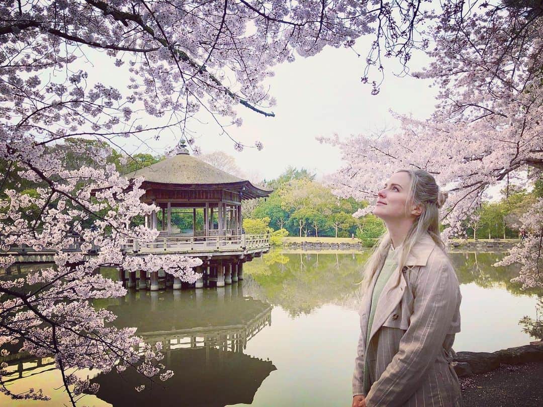 ナタリー・エモンズさんのインスタグラム写真 - (ナタリー・エモンズInstagram)「今回は紀伊山地を旅しました⛰素敵な桜をいっぱい見ましたし、神秘的なお寺で世界の平和や癒しをお祈りして本当に癒されました。ぜひ観てくださいね🙏🏽✨ #じょんのび日本遺産 #じょんのび #ナタリーエモンズ #エモやん」4月18日 19時03分 - natalieemmons