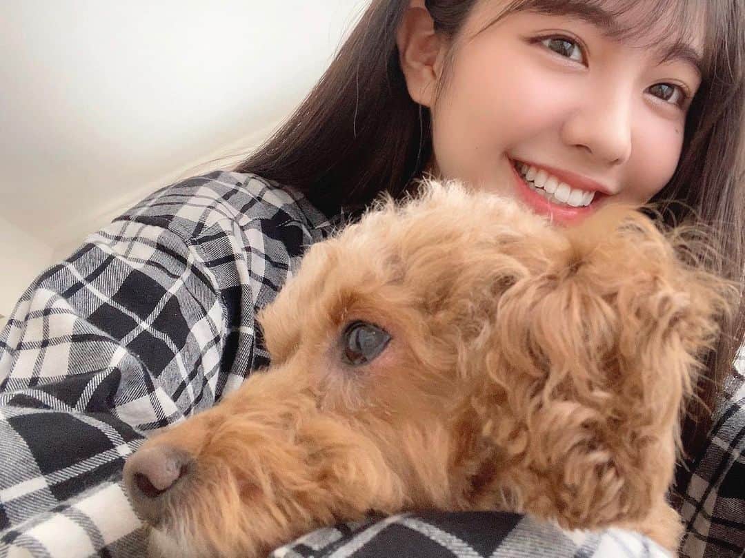 小玉梨々華のインスタグラム：「今日は愛犬まろんの 6歳のお誕生日です！おめでたい！  そして実は少し前に まろんが東京に引っ越してきて また一緒に住むことになりました！  ちょくちょくSNSに出てくると 思うので宜しくお願いします〜☺︎」