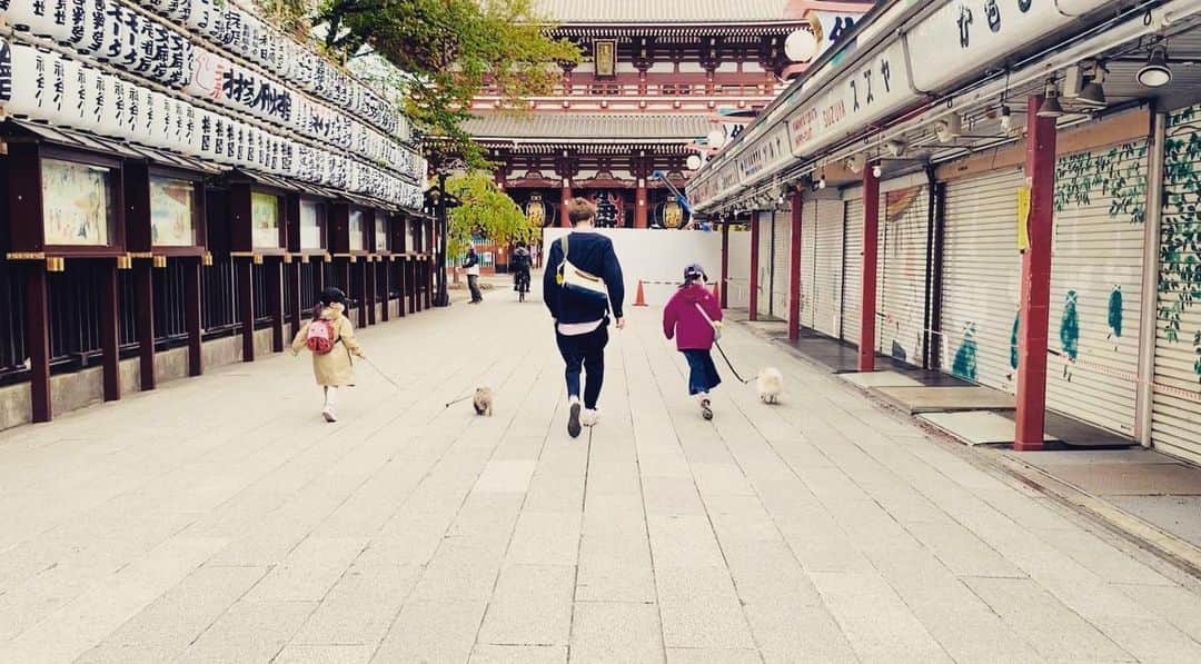 武田航平さんのインスタグラム写真 - (武田航平Instagram)「人がいない浅草… こーゆー時ならではのお散歩コース。 みんなで頑張ろう。 乗り切ろう。 #浅草 #pomeranian #dogofinstagram  #samurai #ポメスタグラム」4月18日 20時33分 - kouhei_takeda.official