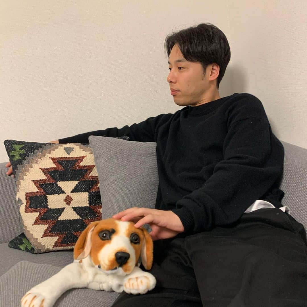 のインスタグラム：「テレビ見てたら寄り添ってくる犬。 帰って来たら階段の上で出迎える犬。 外見てる犬 悪さして怒られると思ったらいつもソファーの下に隠れる犬。 待て出来る犬。 朝起こしてくる犬 #犬のいる生活 #犬飼いたい #はぁ犬触りたい #はぁ犬に出迎えられたい #犬に起こされた」