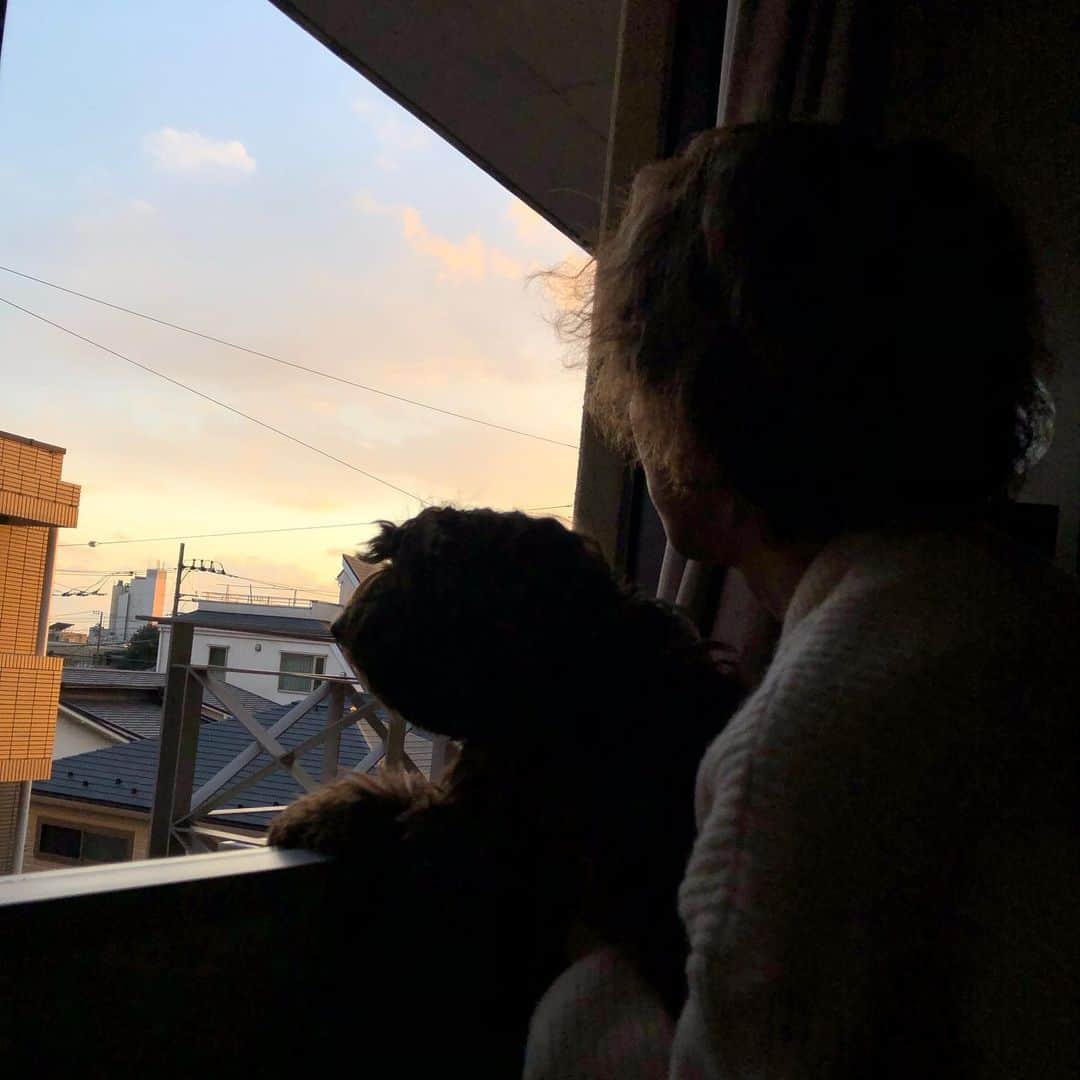 武井優心のインスタグラム：「空はいつも優しい  #優しい」