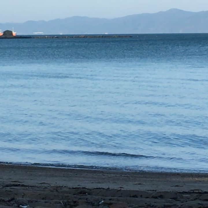 野本かりあのインスタグラム：「嗚呼、海が恋しい。 ここの波音は、優しくて繊細で好き。 ＃かもめ？」
