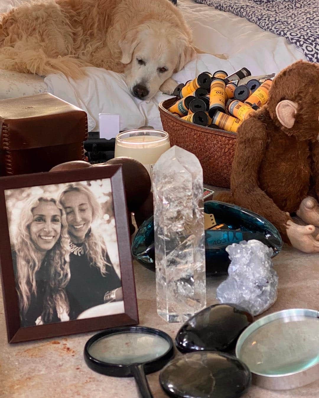 ブルース・ウェーバーさんのインスタグラム写真 - (ブルース・ウェーバーInstagram)「A table with some things I care about: the photograph of Carla and Franca Sozzani that I look at each day—missing Franca in this world—rolls of film to be used, a little kids monkey and Dream guarding everything. It’s funny how things acquire a past and make you celebrate each good friend as a precious gift while they are on this planet.」4月19日 8時12分 - bruce_weber