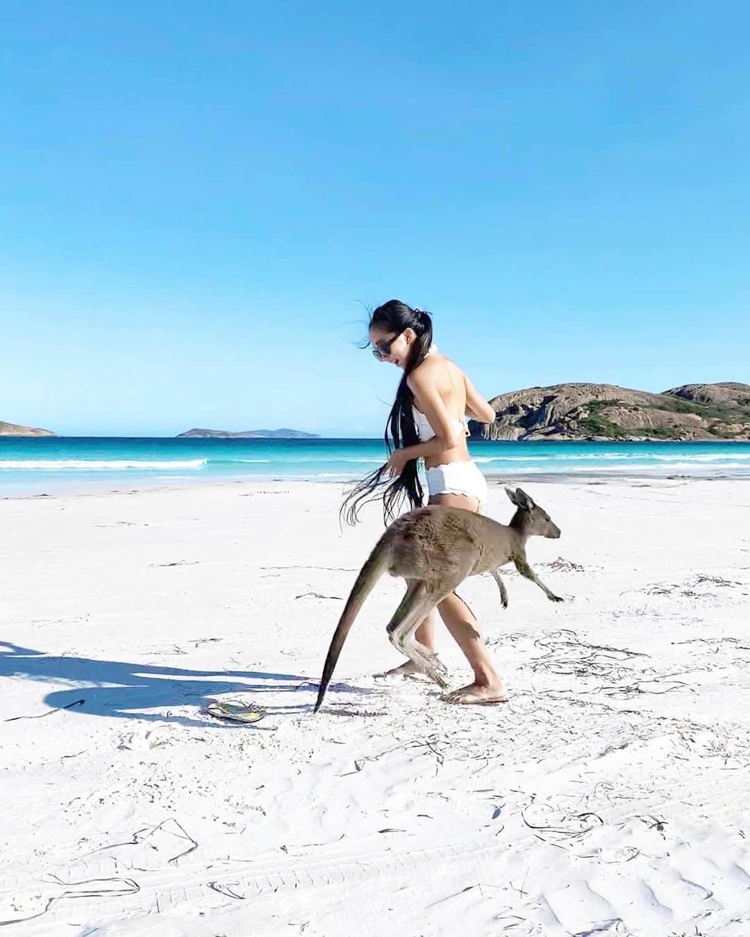 Laraさんのインスタグラム写真 - (LaraInstagram)「. . Lucky Bay has wild kangaroos, they frolic all over the beach. They’re very cute and super friendly. . . ラッキーベイには野生のカンガルー達が遊びにくるよ🦘😃 . . #思い出投稿 #オーストラリア旅」4月18日 23時16分 - fa_la_lara