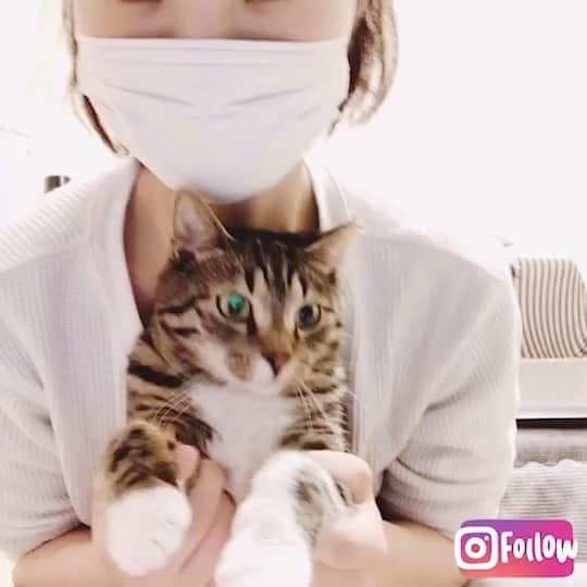 ブランシュール銀座店のインスタグラム