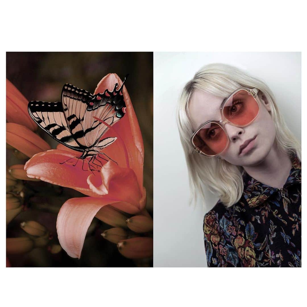ディタのインスタグラム：「Supa Dupa Limited Edition. An oversized acetate frame that defined “granny chic” in the early naughties — now available with two unique lens tints that pull inspiration from the 70's punk era. #DITAeyewear #DITAsunglasses #DITA」