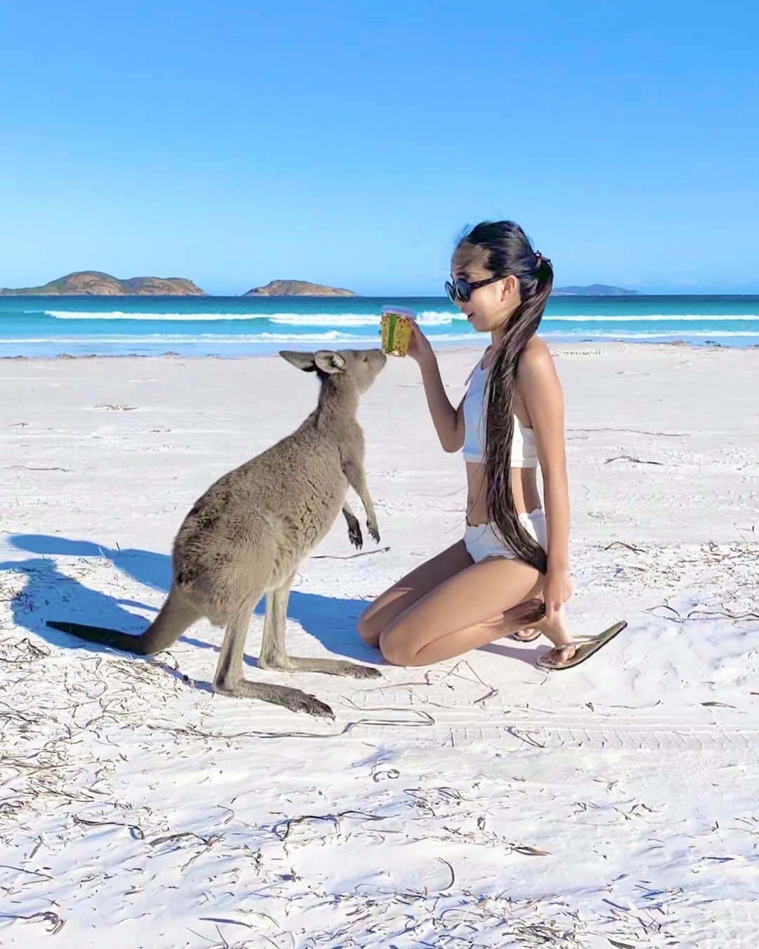 Laraさんのインスタグラム写真 - (LaraInstagram)「. . Although the kangaroos are very friendly to humans, they are wild animals and feeding them is not allowed. . .  野性のカンガルー達、とても 人懐こくてかわいいよ🦘 動物保護のためにカンガルーへの 餌やりはNGというルール🙅‍♀️🥰 . #動物保護 #思い出投稿 #オーストラリア旅」4月19日 0時29分 - fa_la_lara