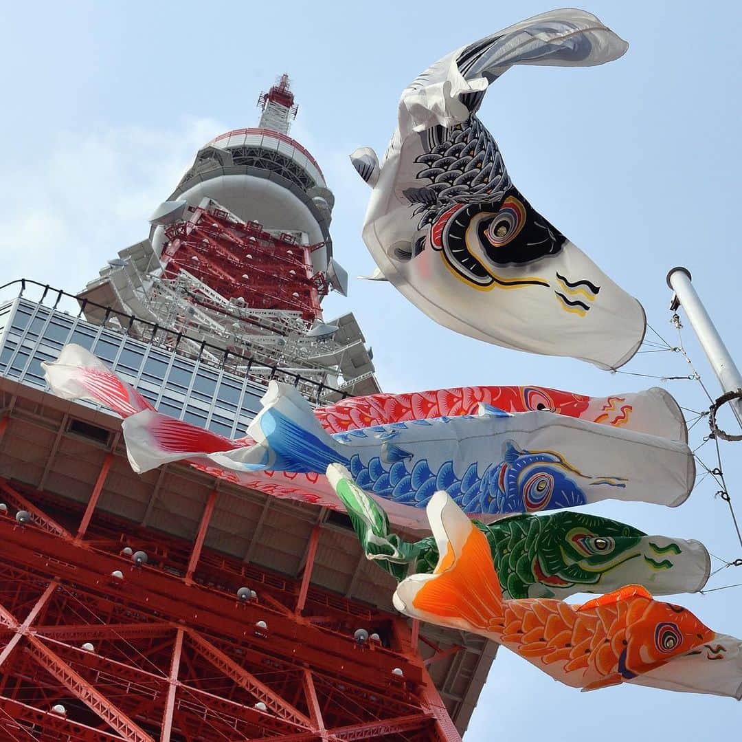 The Japan Timesさんのインスタグラム写真 - (The Japan TimesInstagram)「"Koinobori" carp streamers are hung in front of Tokyo Tower. The windsocks celebrate Children's Day, which falls on May 5 this year, as parents hope their kids will grow up as big and strong as a carp. 📸 @miura.yoshiaki . . . . . . #Japan #Tokyo #TowerTower #ChildrensDay #Koinobori #travel #city #日本 #東京 #東京タワー #こどもの日 #子供の日 #鯉のぼり #こいのぼり #旅行 #撮影 #🗼 #🎏」4月19日 0時36分 - thejapantimes