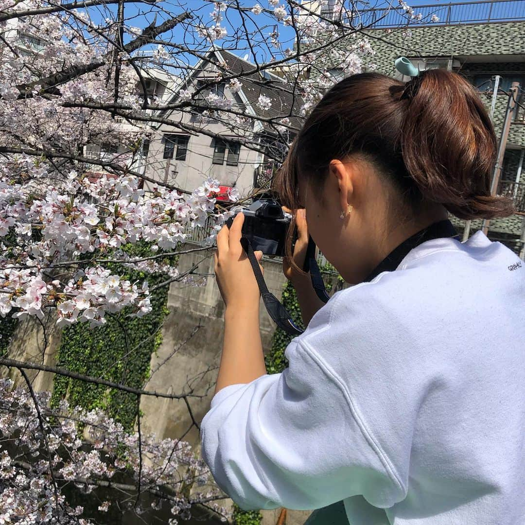 中村真緒さんのインスタグラム写真 - (中村真緒Instagram)「これは去年の写真🌸📸 またこんなふうに普通に外に出られる日を願って✨ ・ ・ #stayhome  #コロナに負けるな」4月19日 1時07分 - mao___nakamura