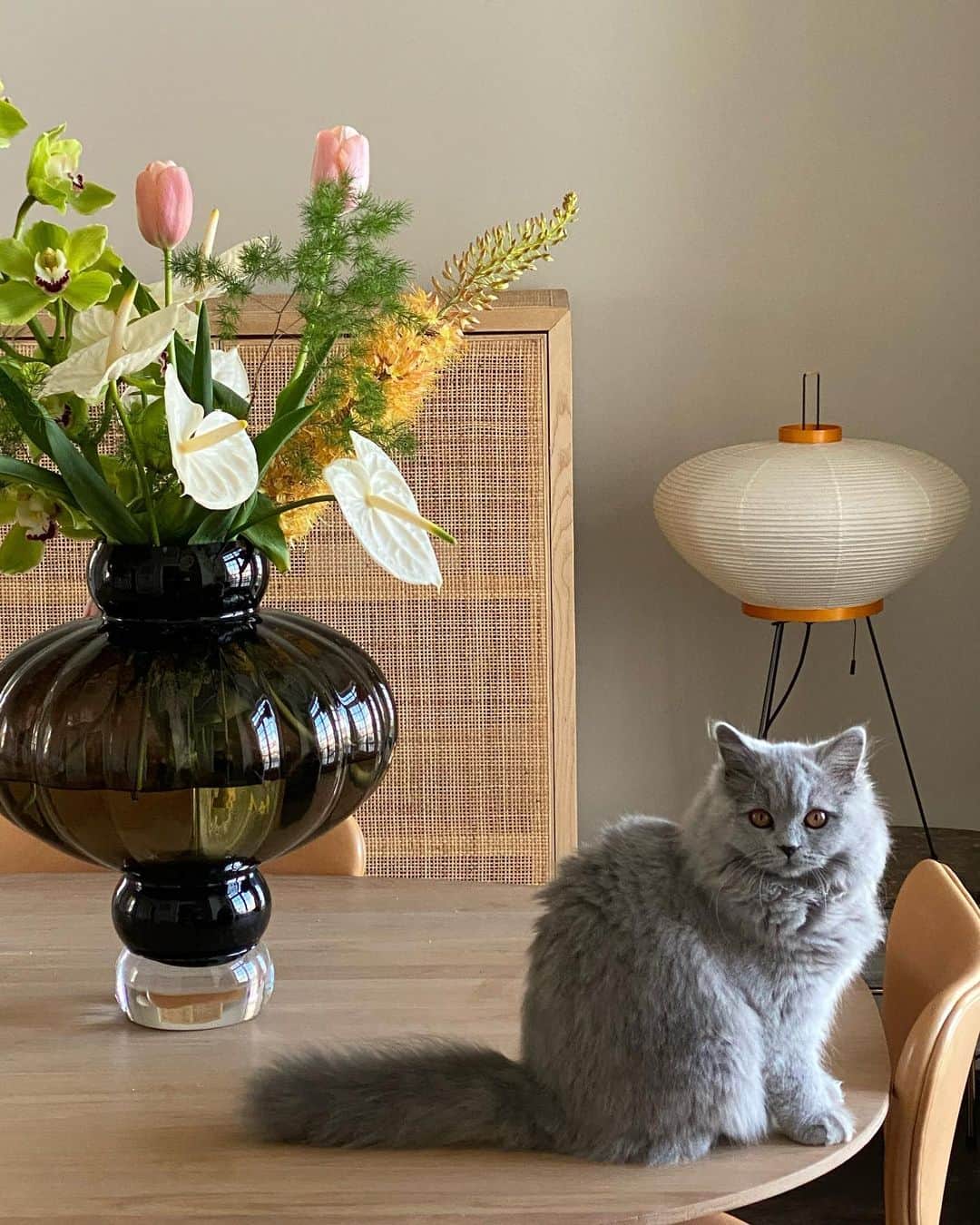Mathilde Goehlerのインスタグラム：「Moshu 💚」