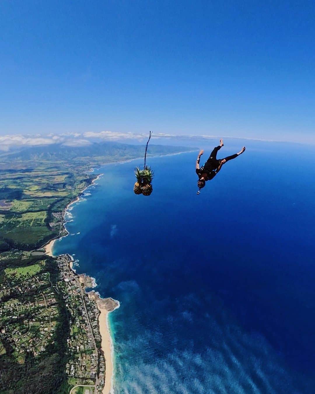 ジェイ・アルヴァリーズのインスタグラム：「Can someone please caption this? It’s me & a pineapple skydiving 🍍💙😂 ( I can see my house from here and my dogs tail )」